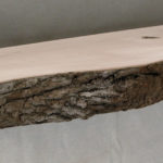 BARK_FACE